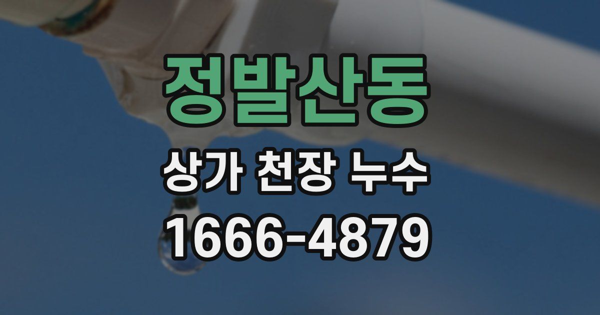 정발산동 상가 천장 누수