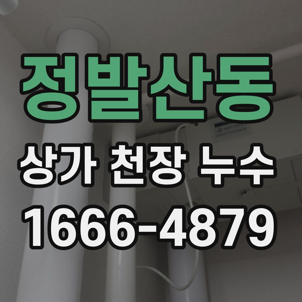 정발산동 상가 천장 누수