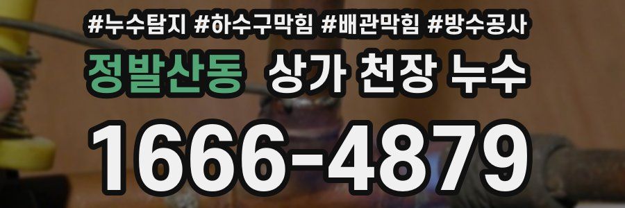 정발산동 상가 천장 누수