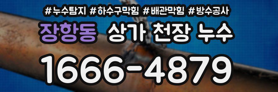 장항동 상가 천장 누수