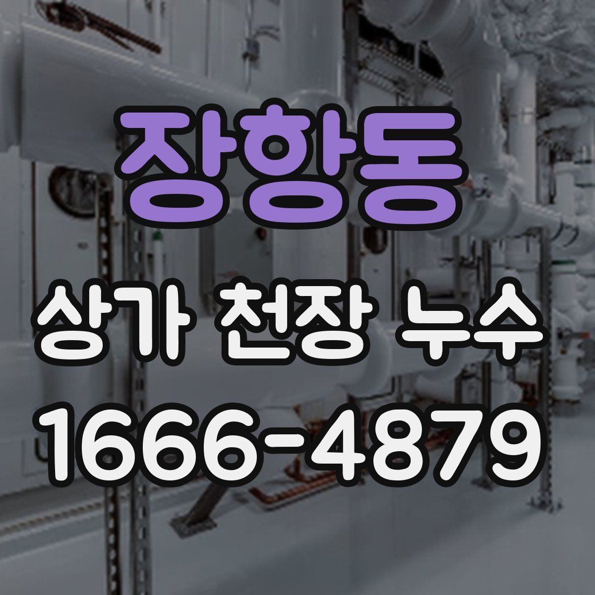 장항동 상가 천장 누수