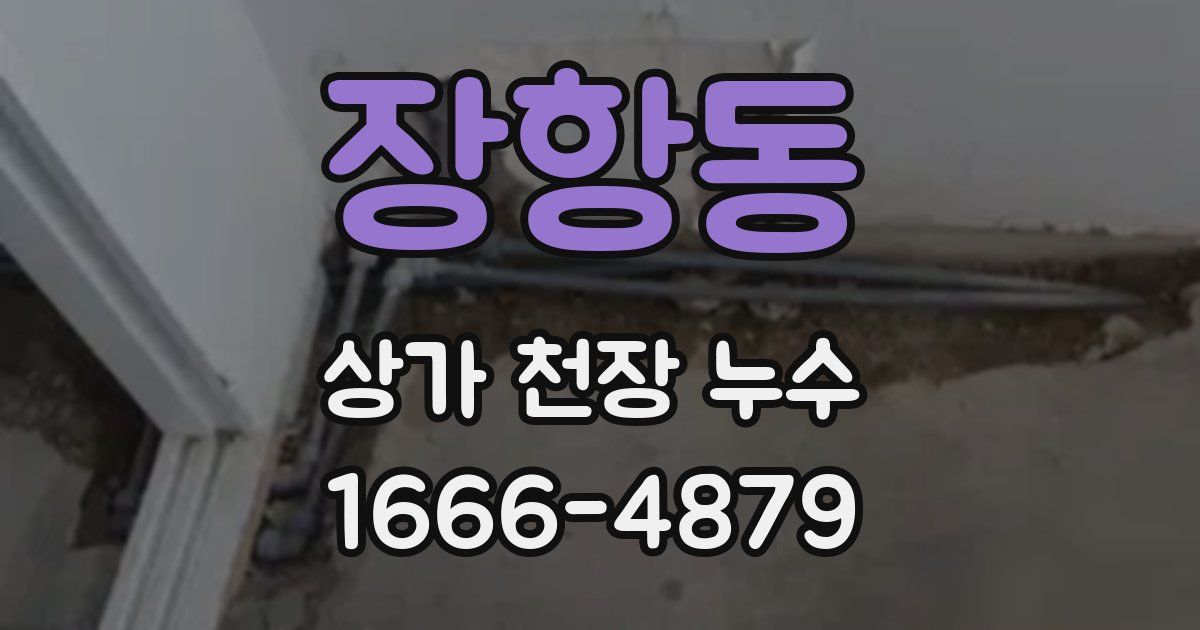 장항동 상가 천장 누수