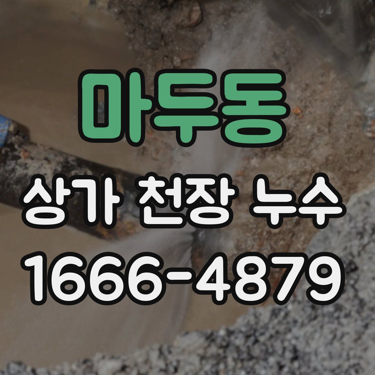 마두동 상가 천장 누수