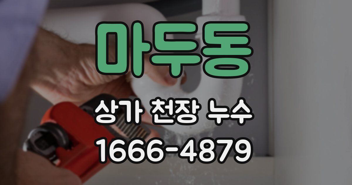 마두동 상가 천장 누수