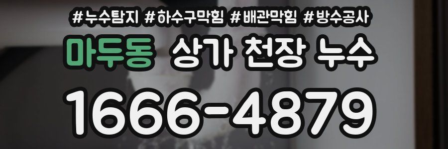 마두동 상가 천장 누수