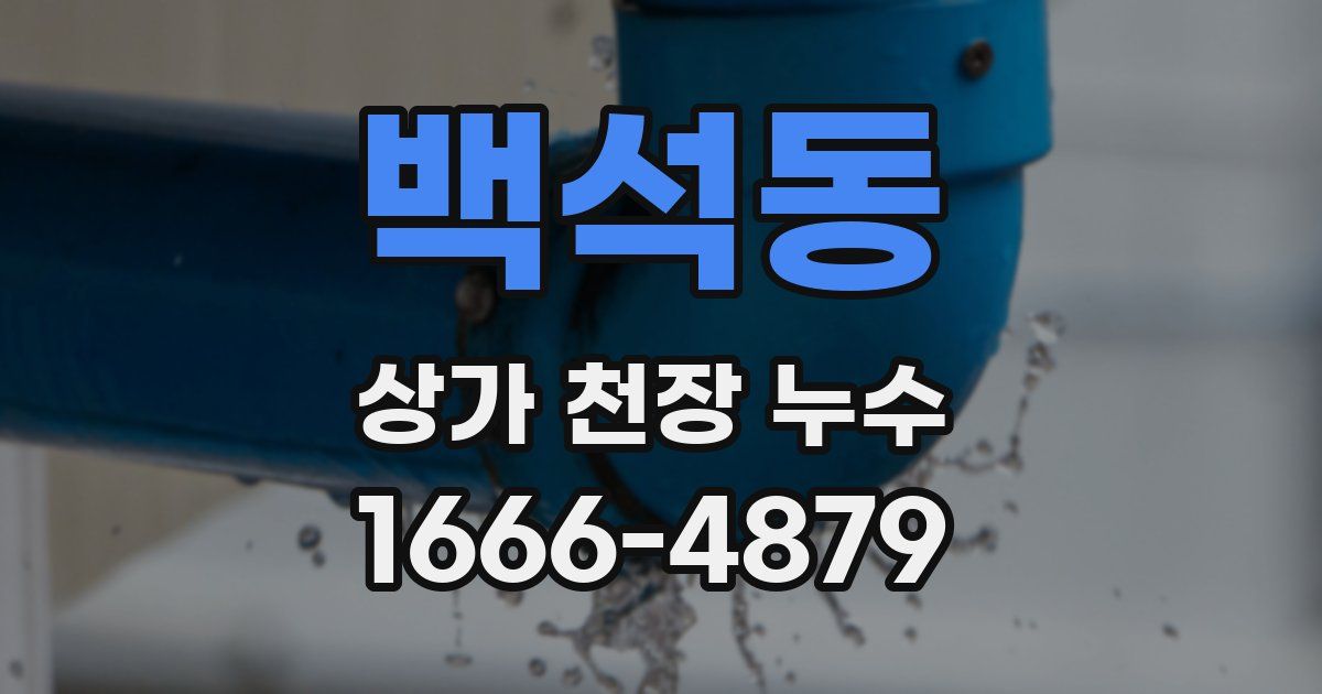 백석동 상가 천장 누수