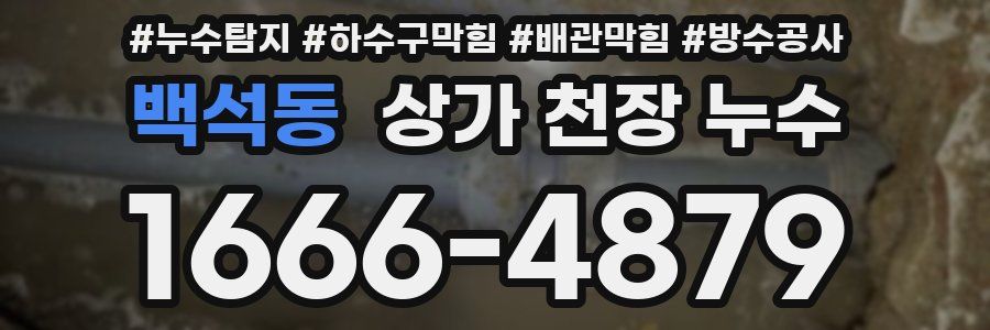 백석동 상가 천장 누수
