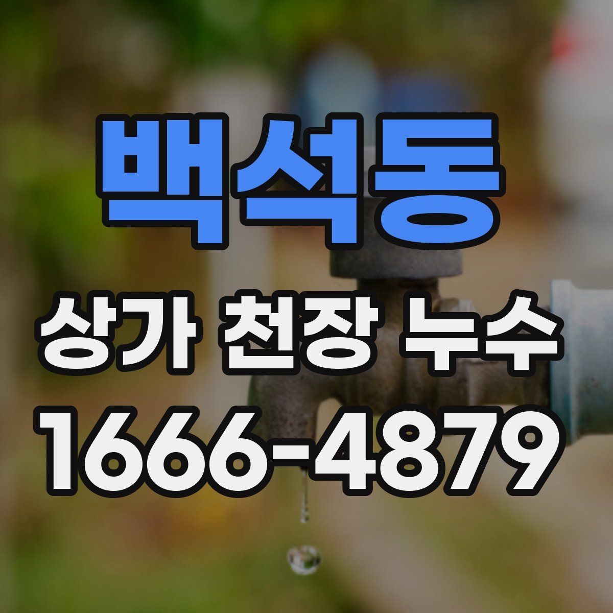 백석동 상가 천장 누수