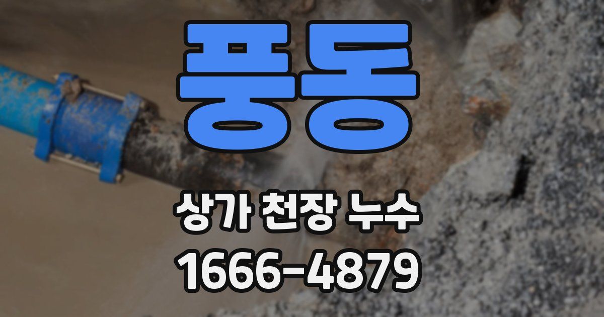 풍동 상가 천장 누수