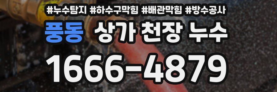 풍동 상가 천장 누수