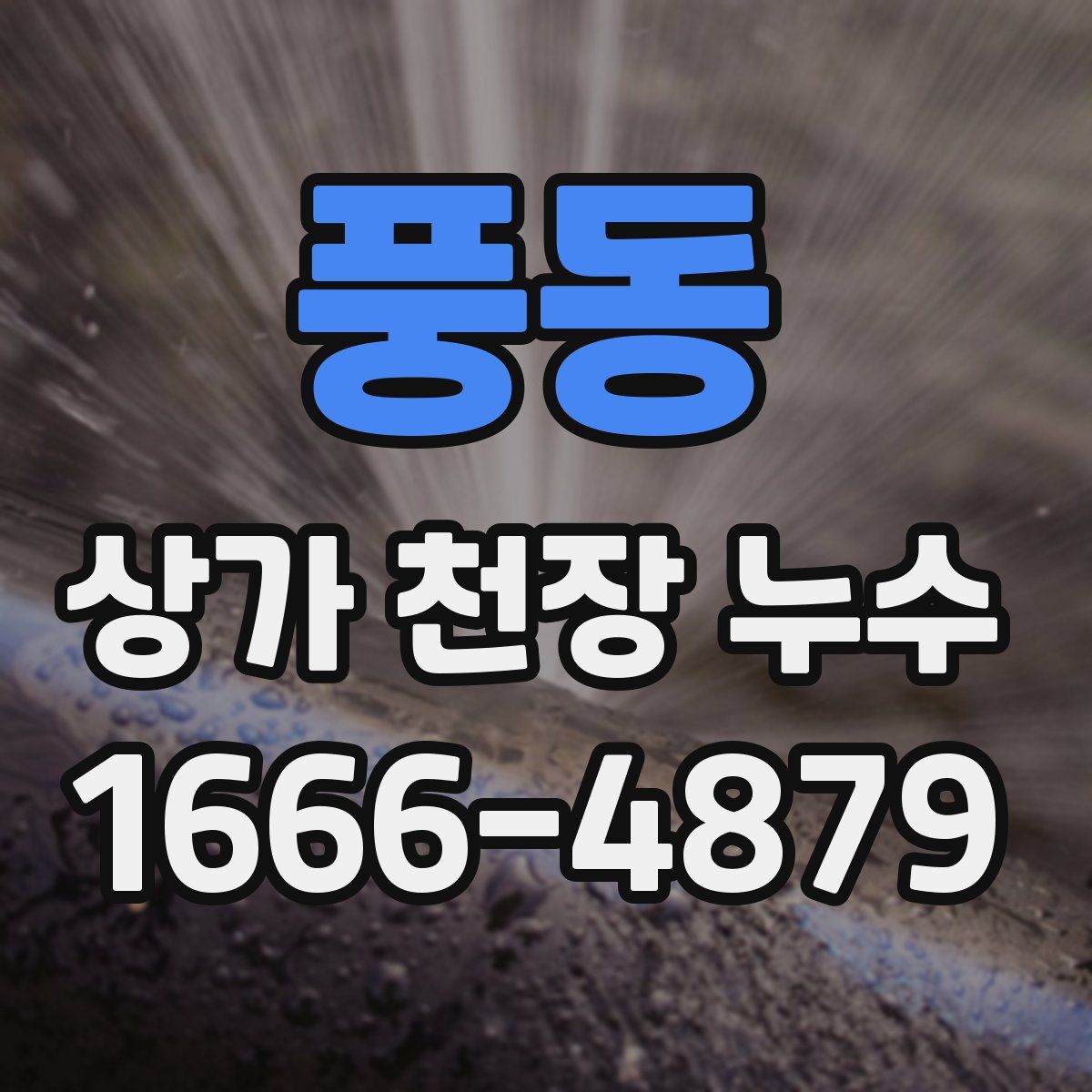 풍동 상가 천장 누수