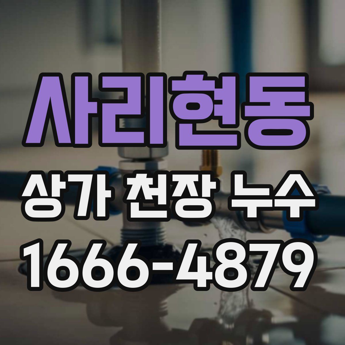 사리현동 상가 천장 누수