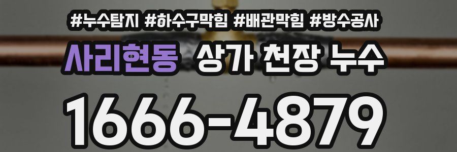 사리현동 상가 천장 누수
