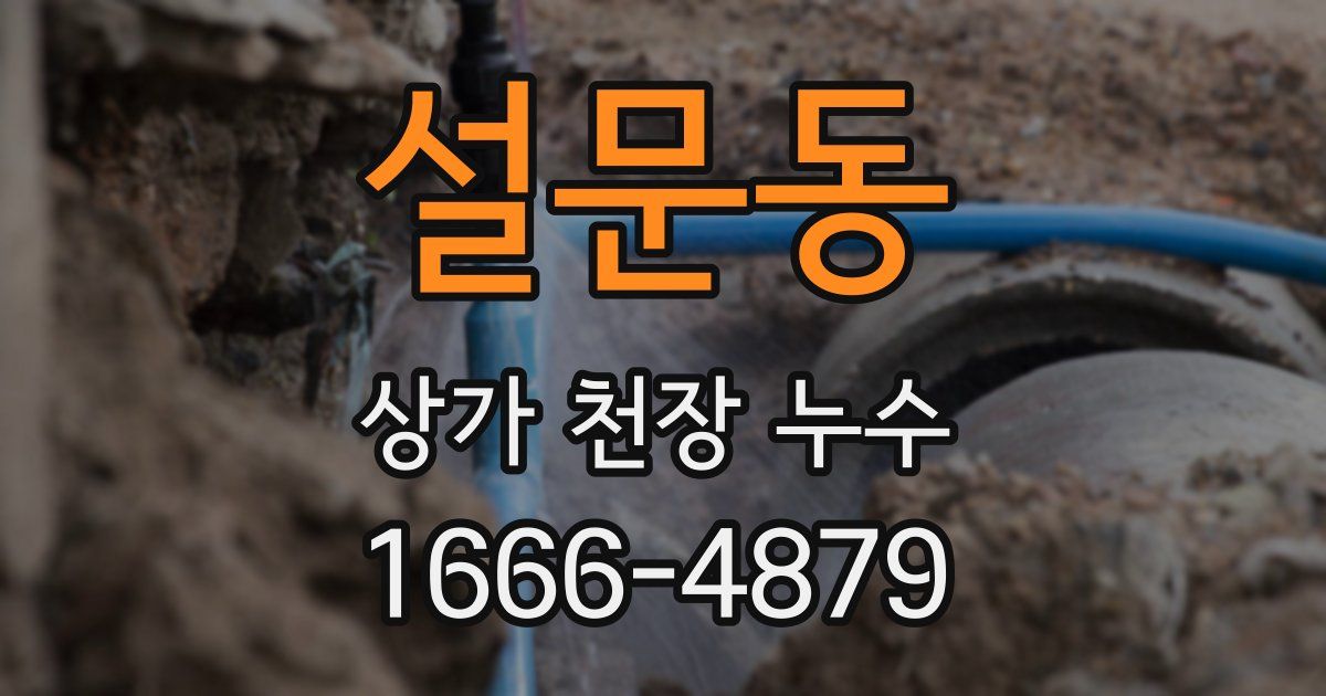 설문동 상가 천장 누수