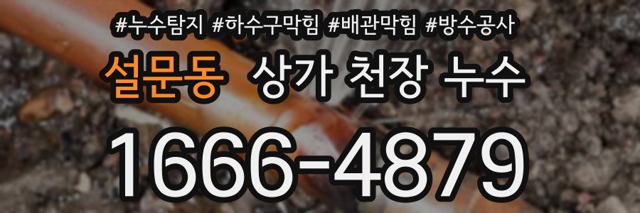 설문동 상가 천장 누수