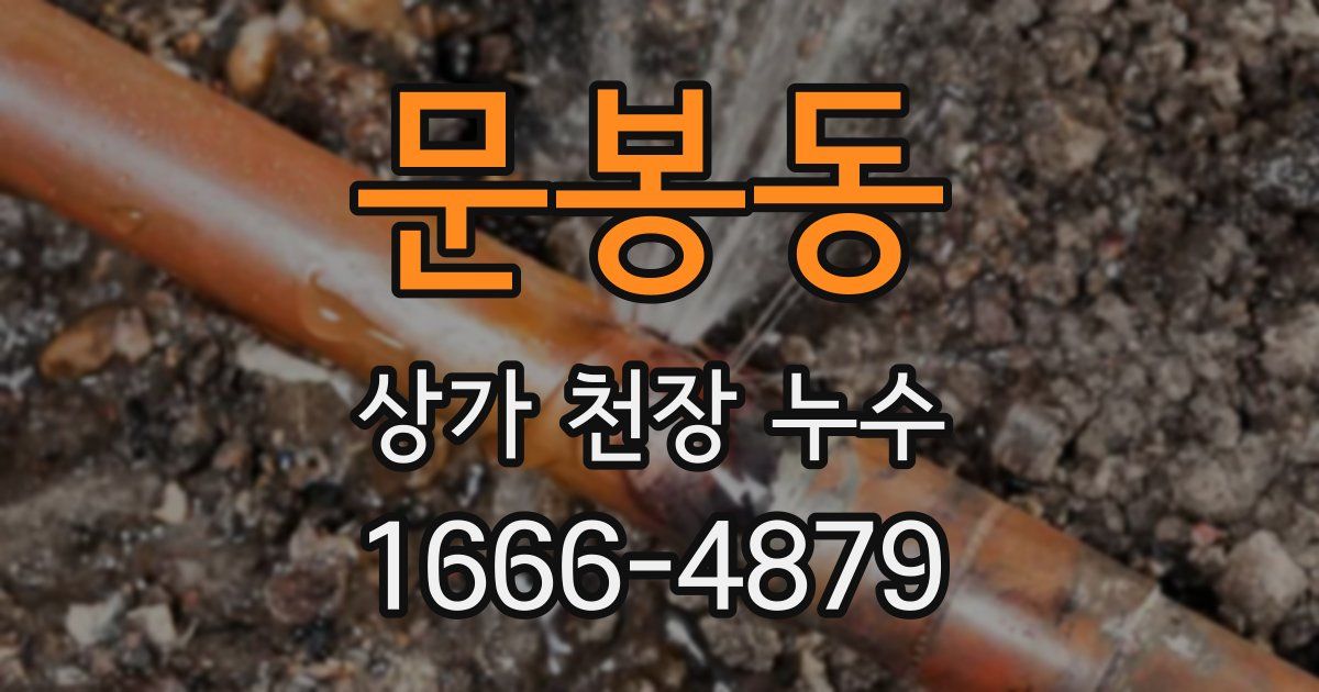 문봉동 상가 천장 누수