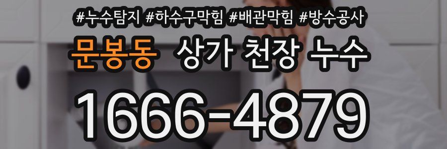 문봉동 상가 천장 누수