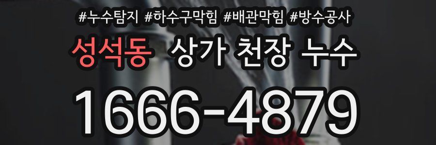 성석동 상가 천장 누수