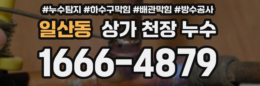 일산동 상가 천장 누수
