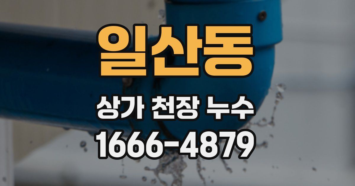 일산동 상가 천장 누수