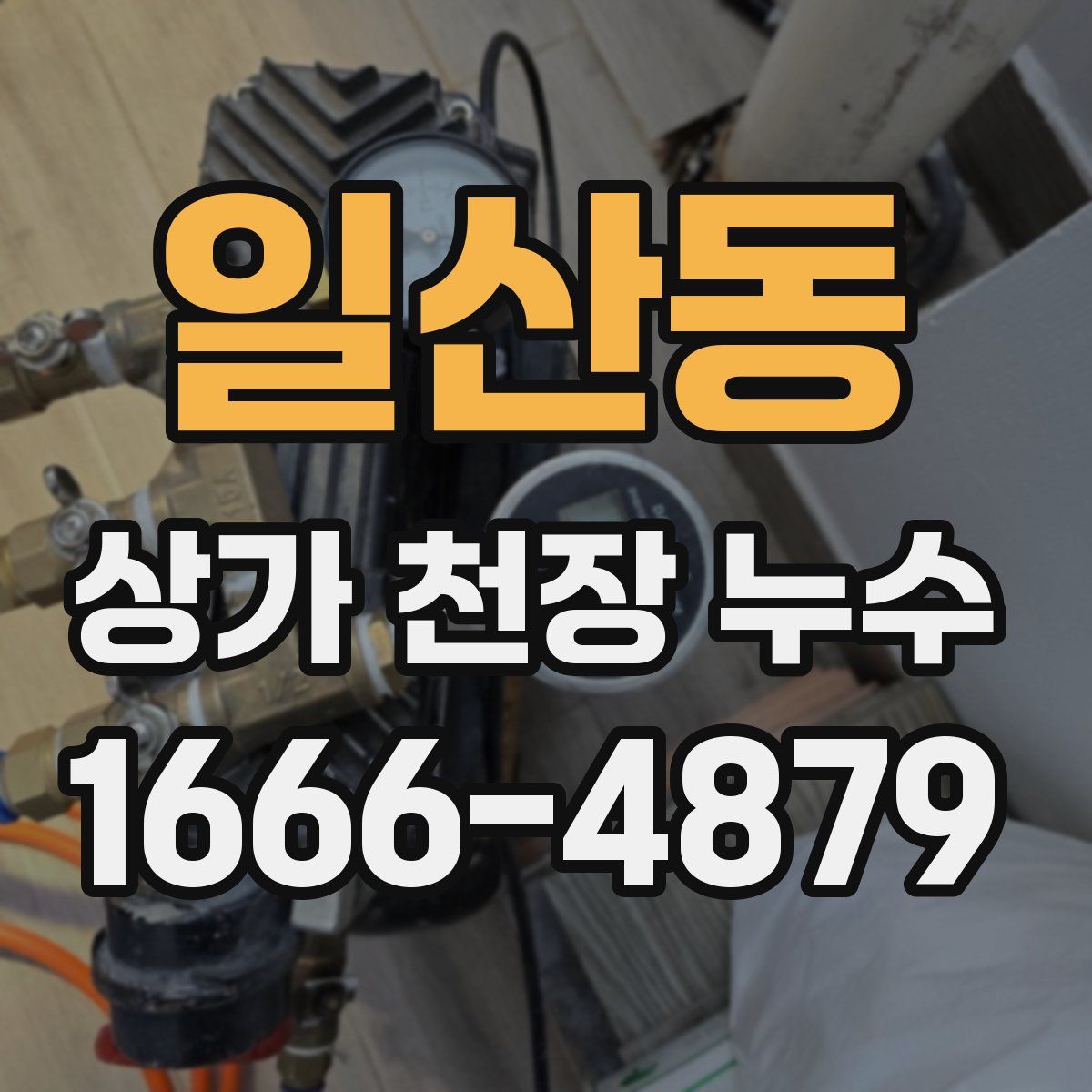 일산동 상가 천장 누수