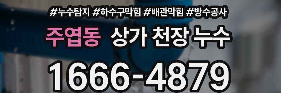 주엽동 상가 천장 누수