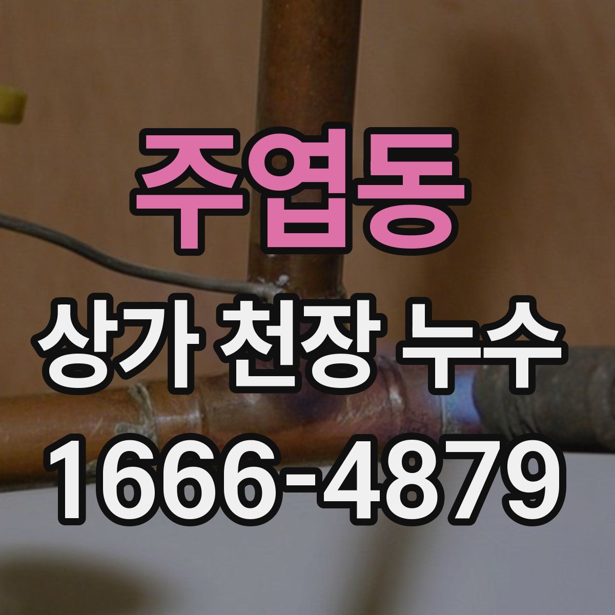 주엽동 상가 천장 누수