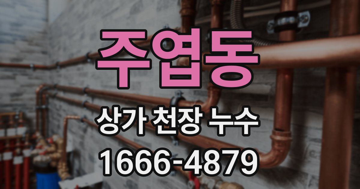 주엽동 상가 천장 누수