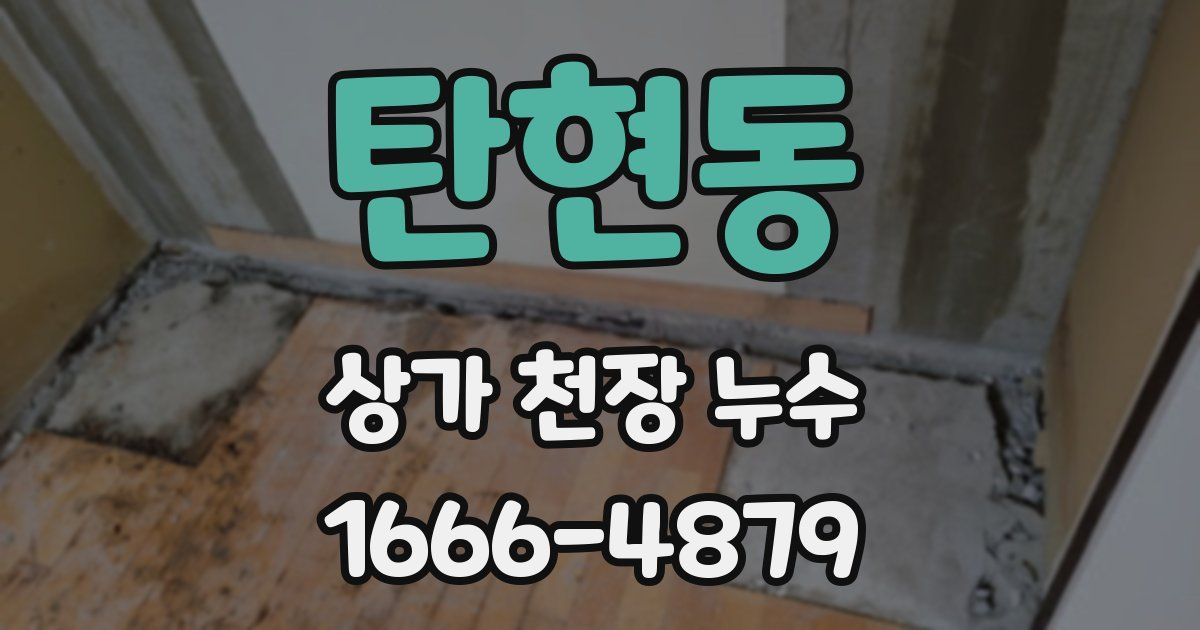 탄현동 상가 천장 누수