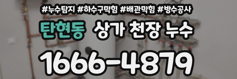 탄현동 상가 천장 누수