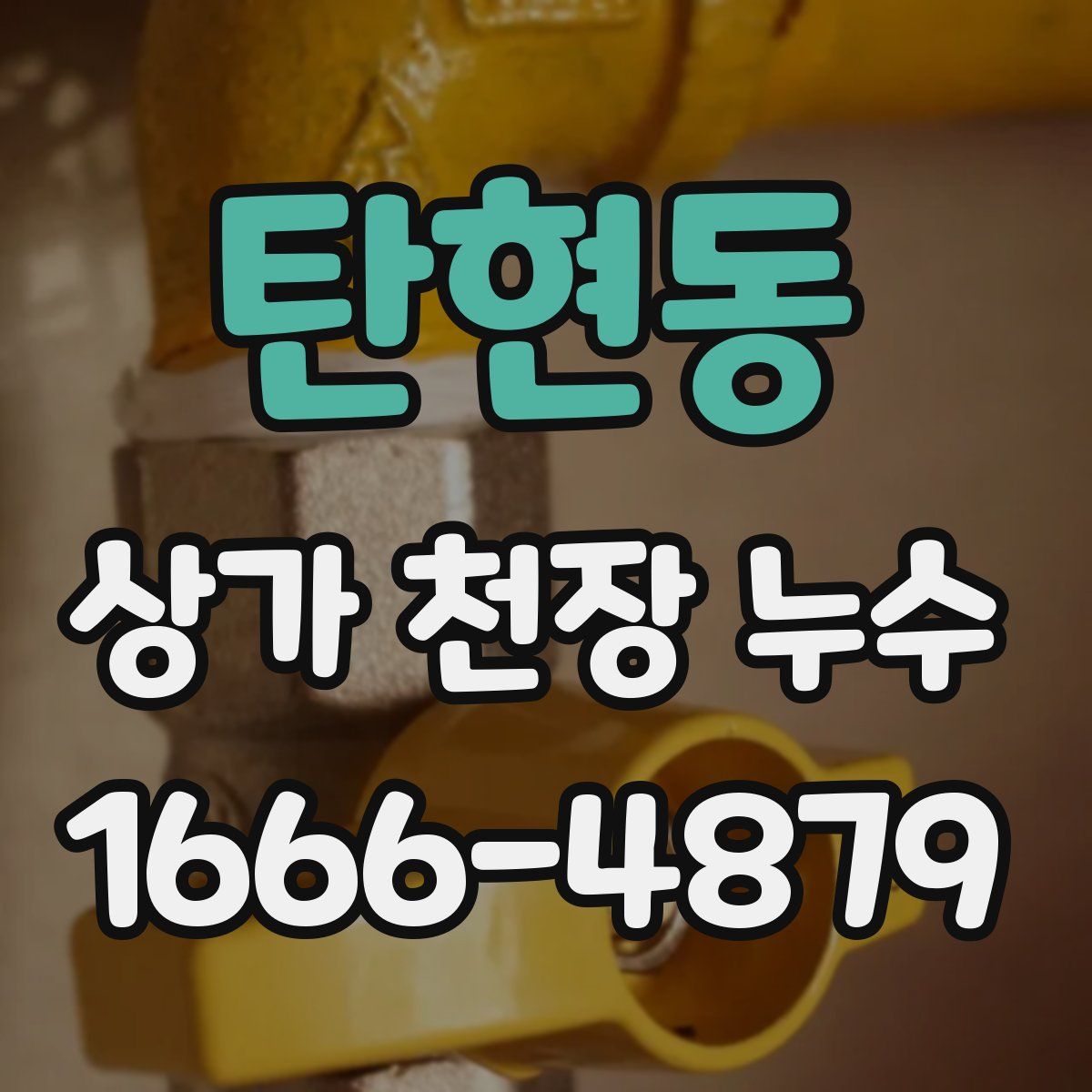 탄현동 상가 천장 누수