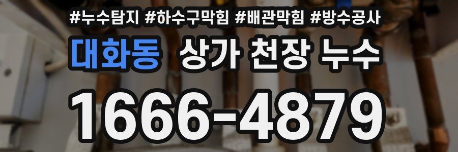 대화동 상가 천장 누수