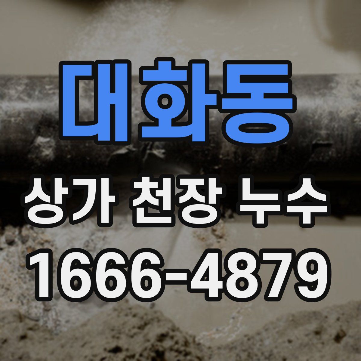 대화동 상가 천장 누수