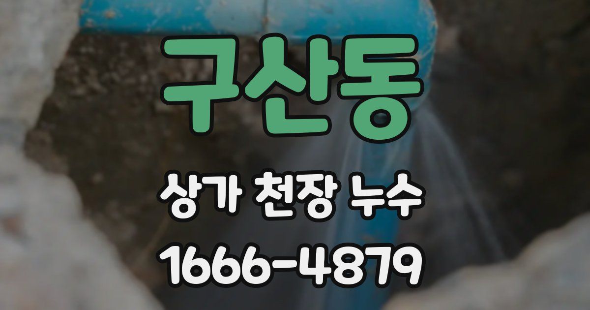 구산동 상가 천장 누수