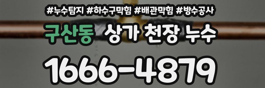 구산동 상가 천장 누수