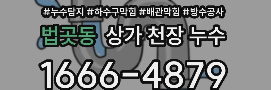 법곳동 상가 천장 누수