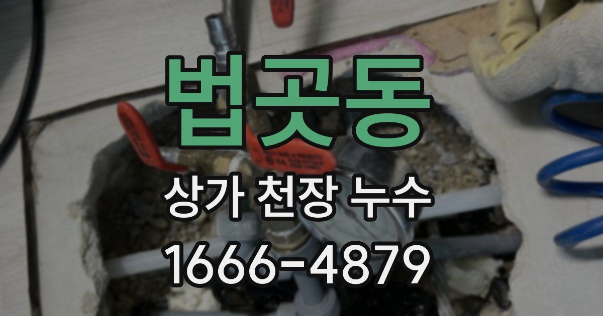 법곳동 상가 천장 누수
