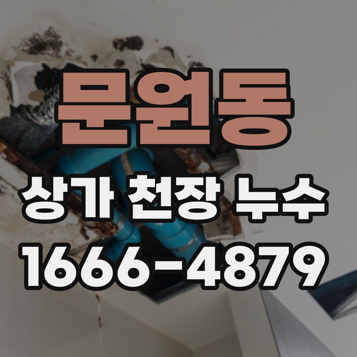 문원동 상가 천장 누수
