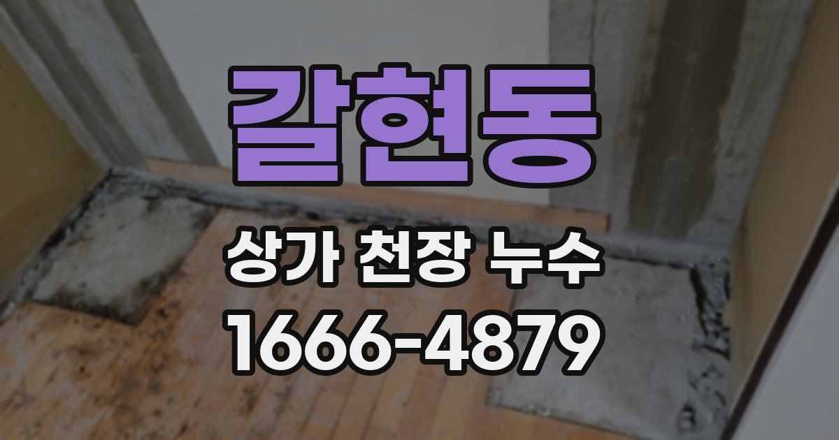 갈현동 상가 천장 누수