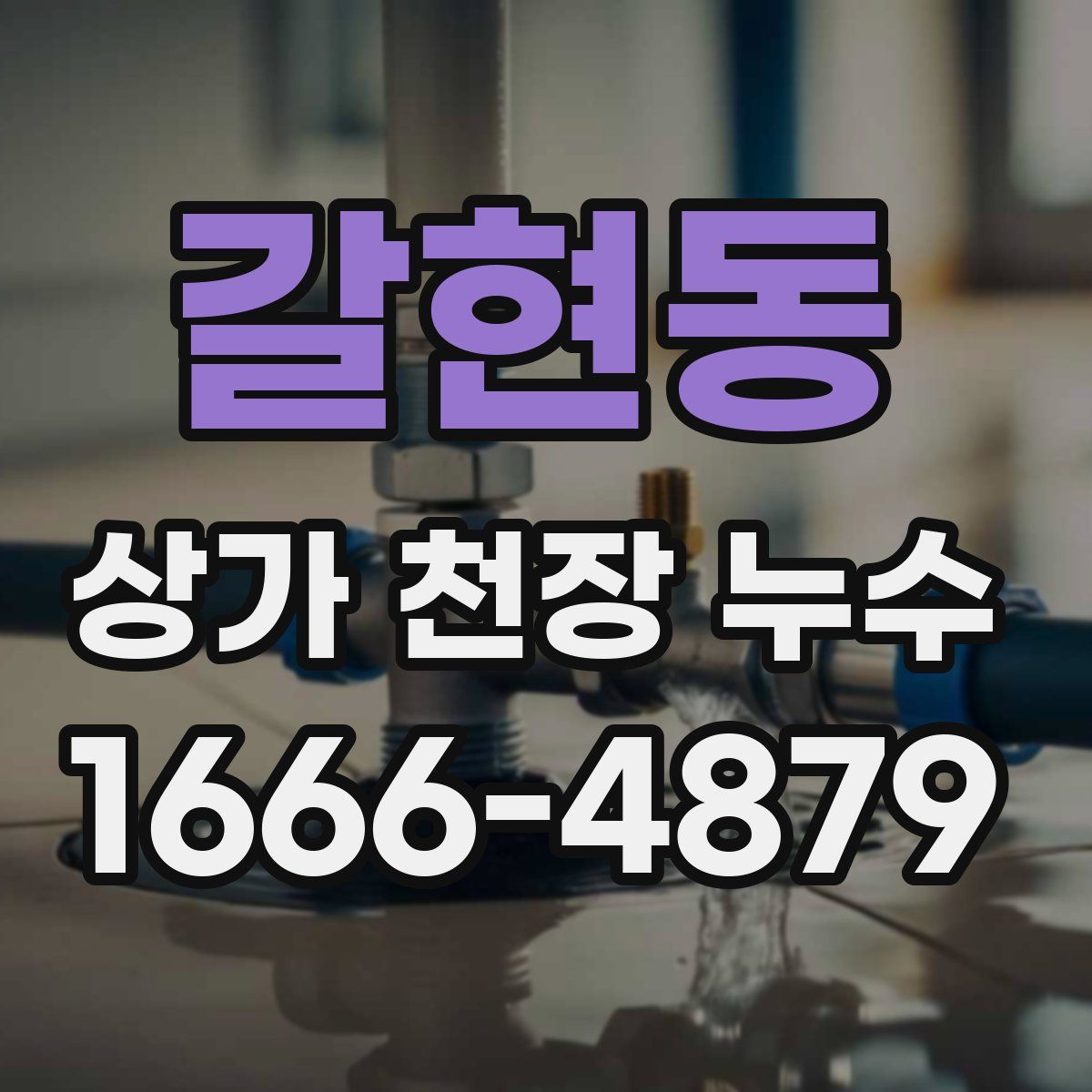 갈현동 상가 천장 누수