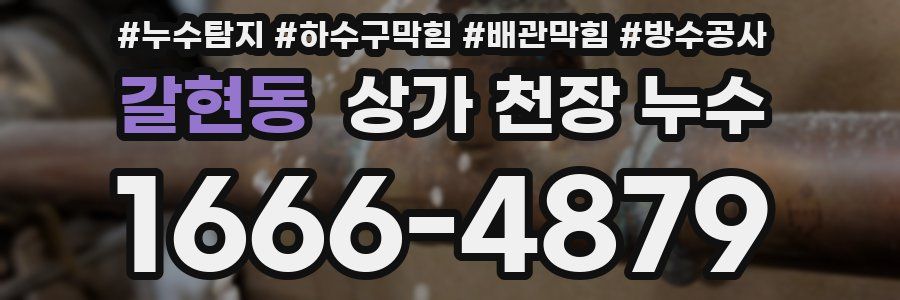 갈현동 상가 천장 누수