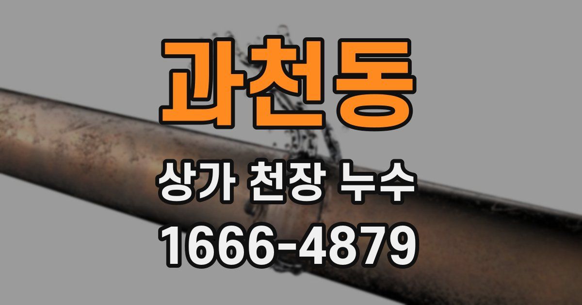 과천동 상가 천장 누수