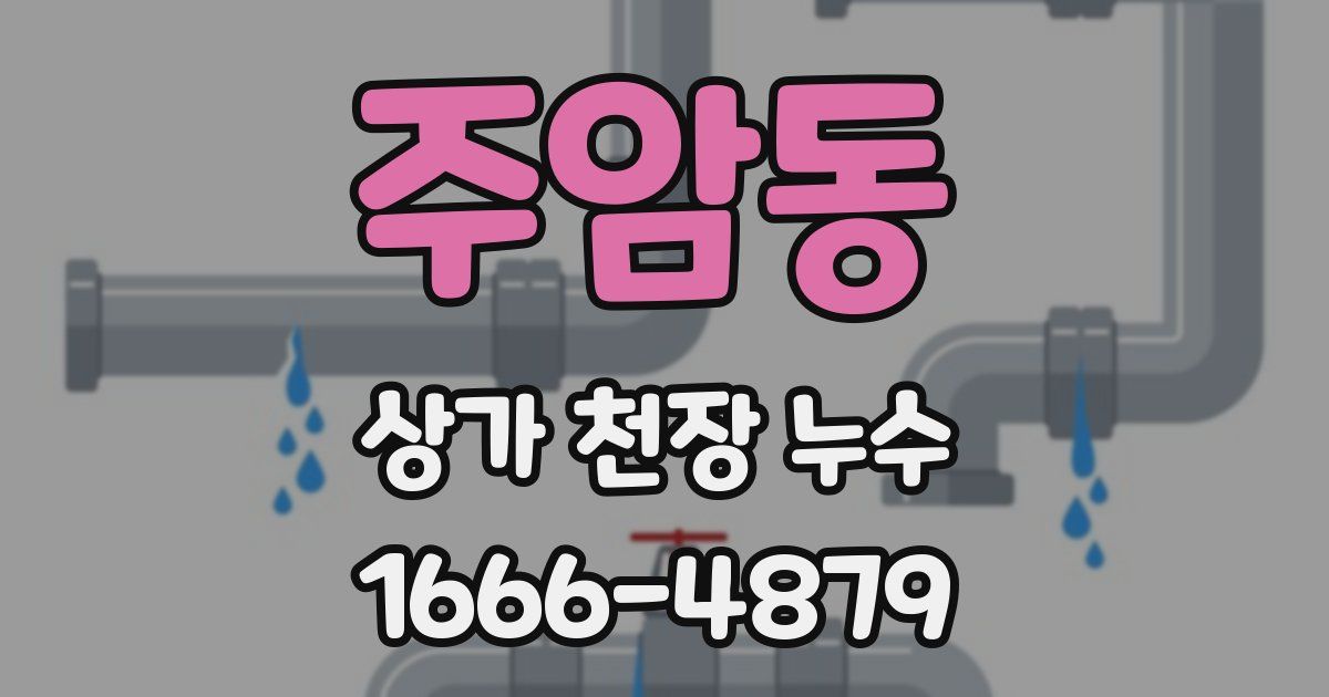 주암동 상가 천장 누수