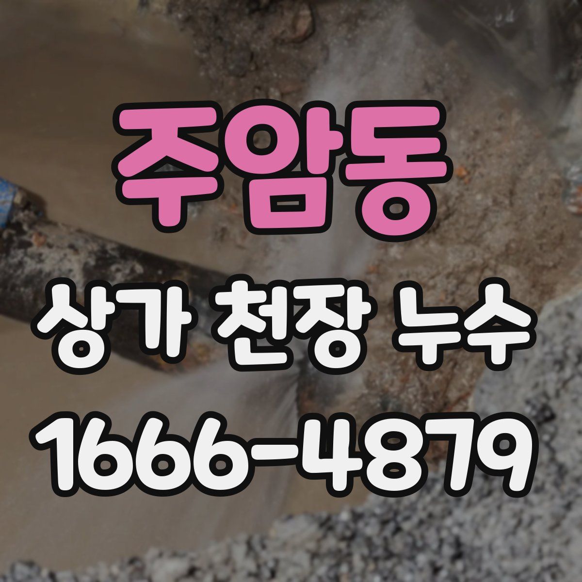 주암동 상가 천장 누수