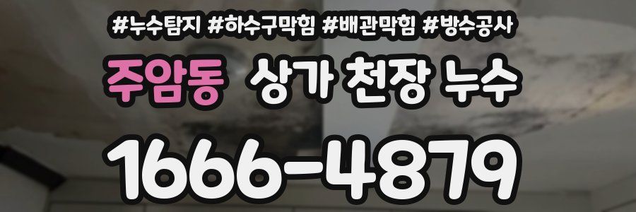 주암동 상가 천장 누수