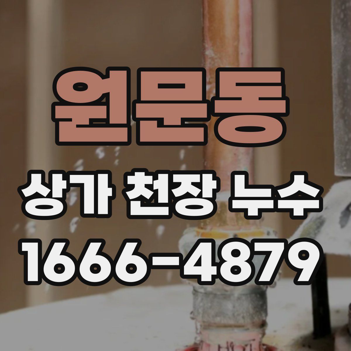 원문동 상가 천장 누수