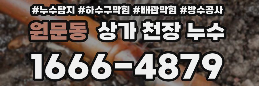원문동 상가 천장 누수