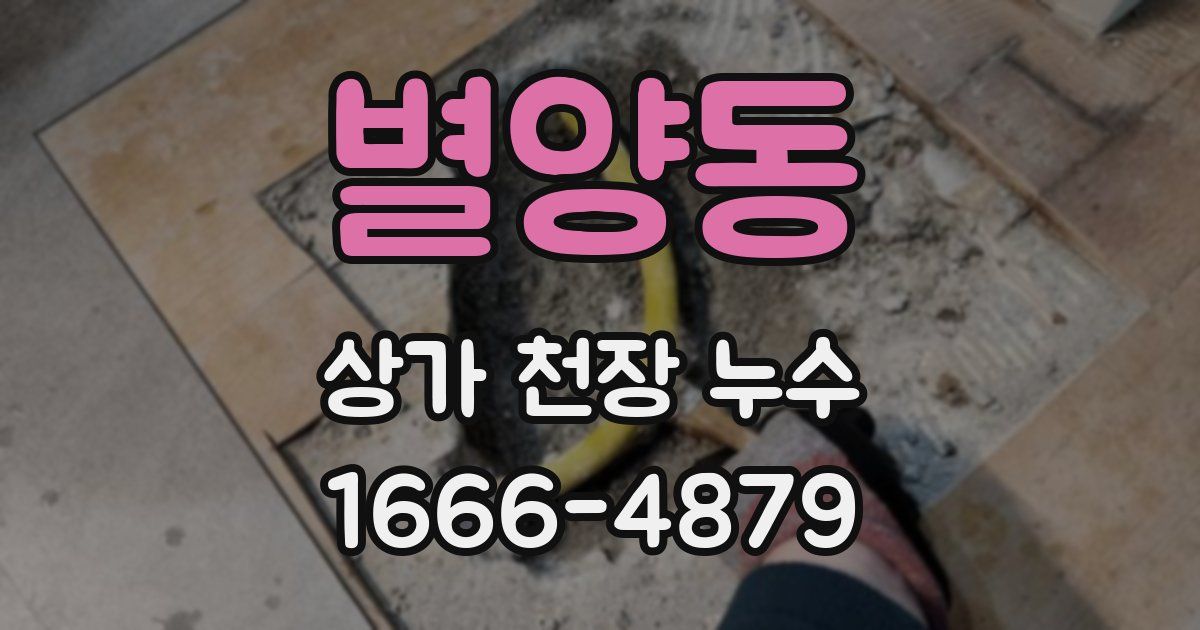 별양동 상가 천장 누수