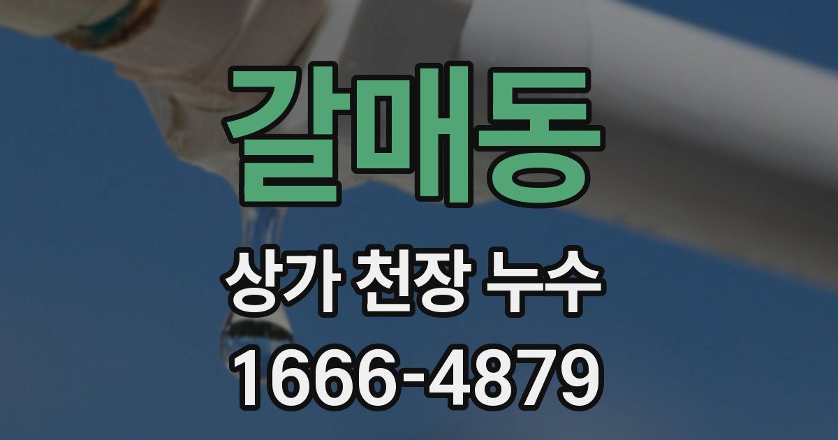 갈매동 상가 천장 누수