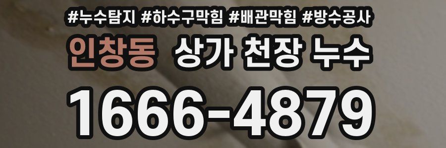 인창동 상가 천장 누수